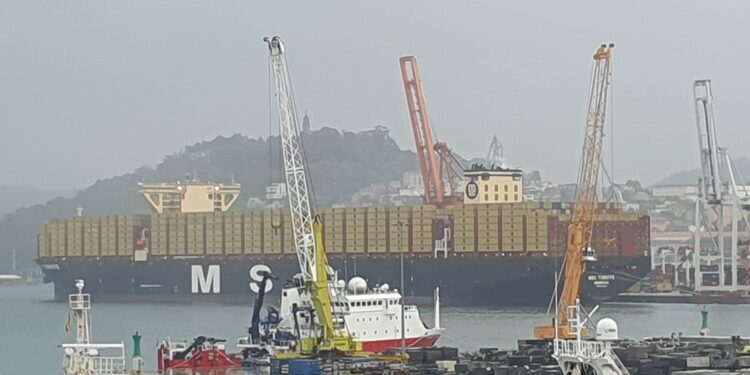 Atraca En Vigo El Msc T Rkiye El Mayor Portacontenedores Del Mundo