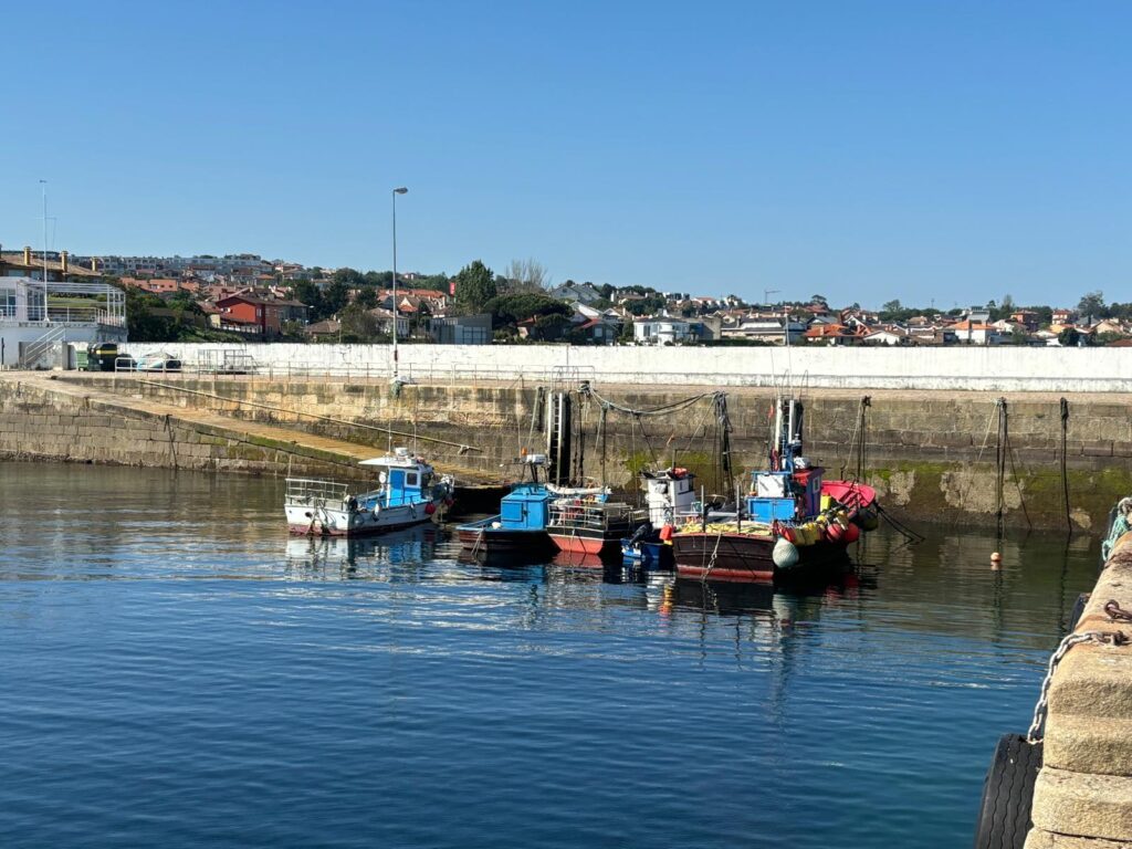 lonja de canido puerto de canido