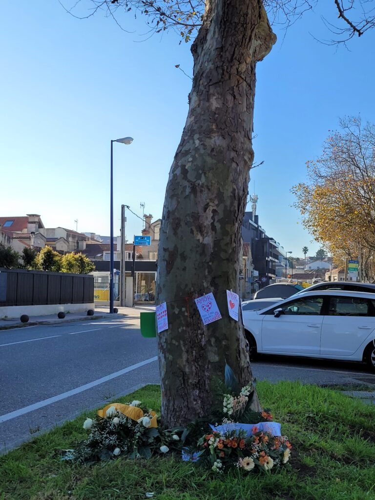 Mensajes de amor y coronas de flores para los plataneros de Canido: "Árbores asasinadas"