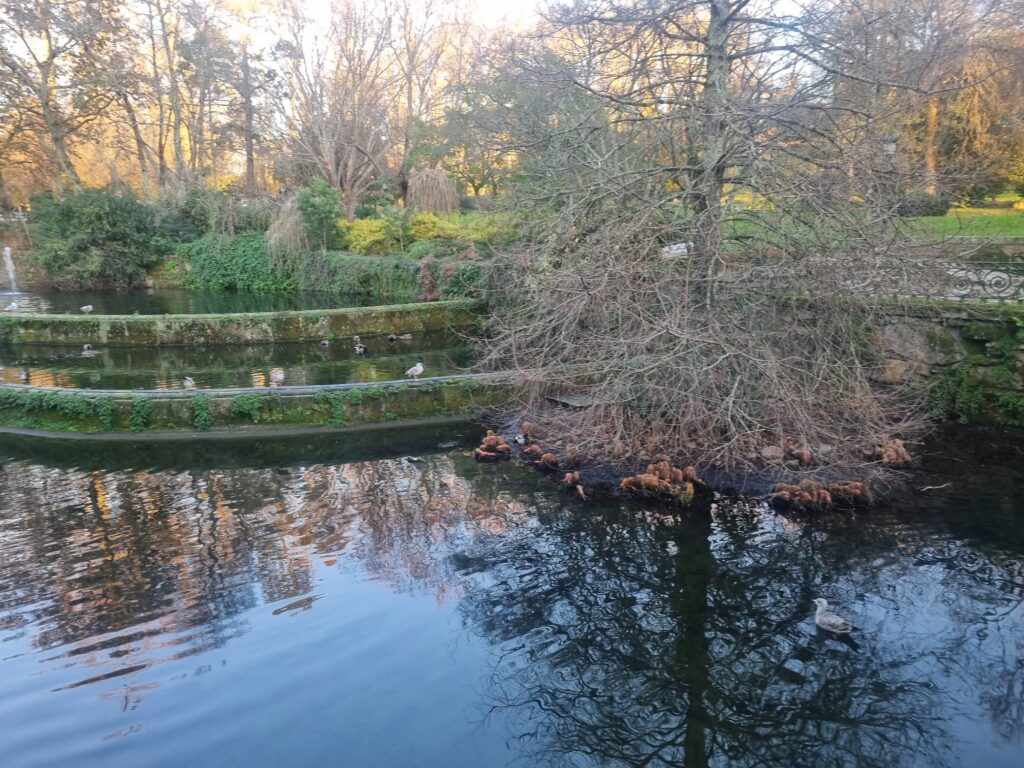 Lago artificial del Parque de Castrelos, en Vigo