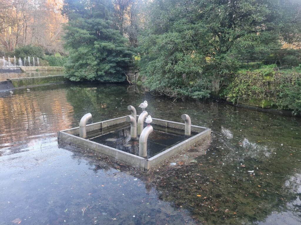 Lago artificial del Parque de Castrelos, en Vigo