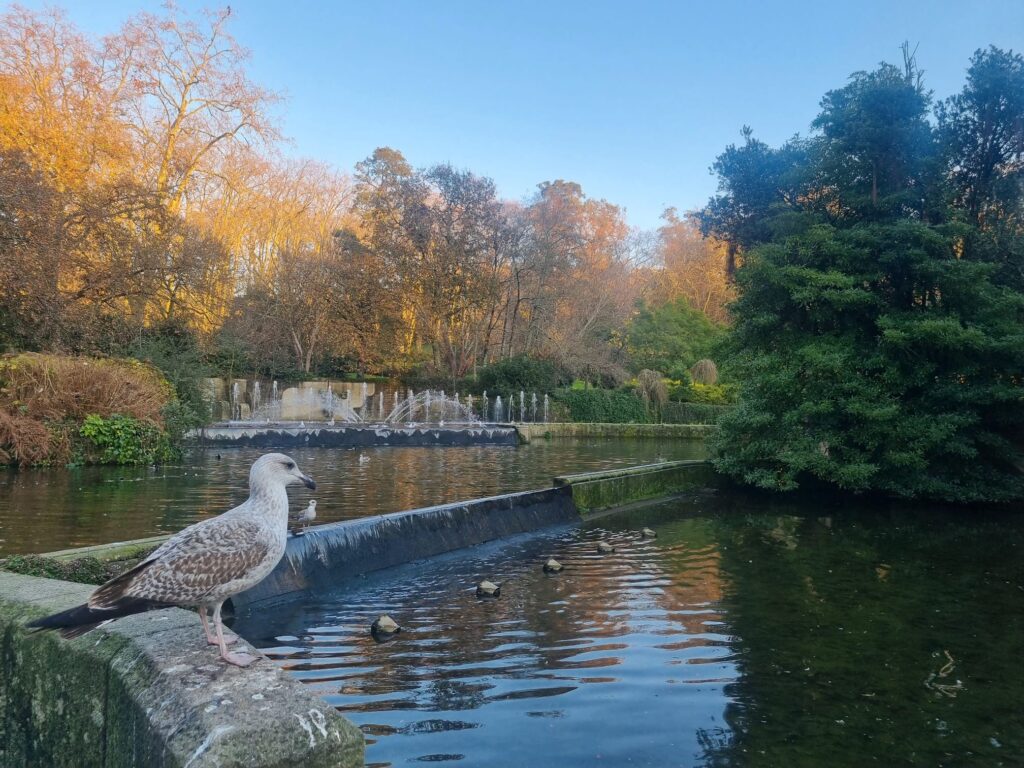 Lago artificial del Parque de Castrelos, en Vigo