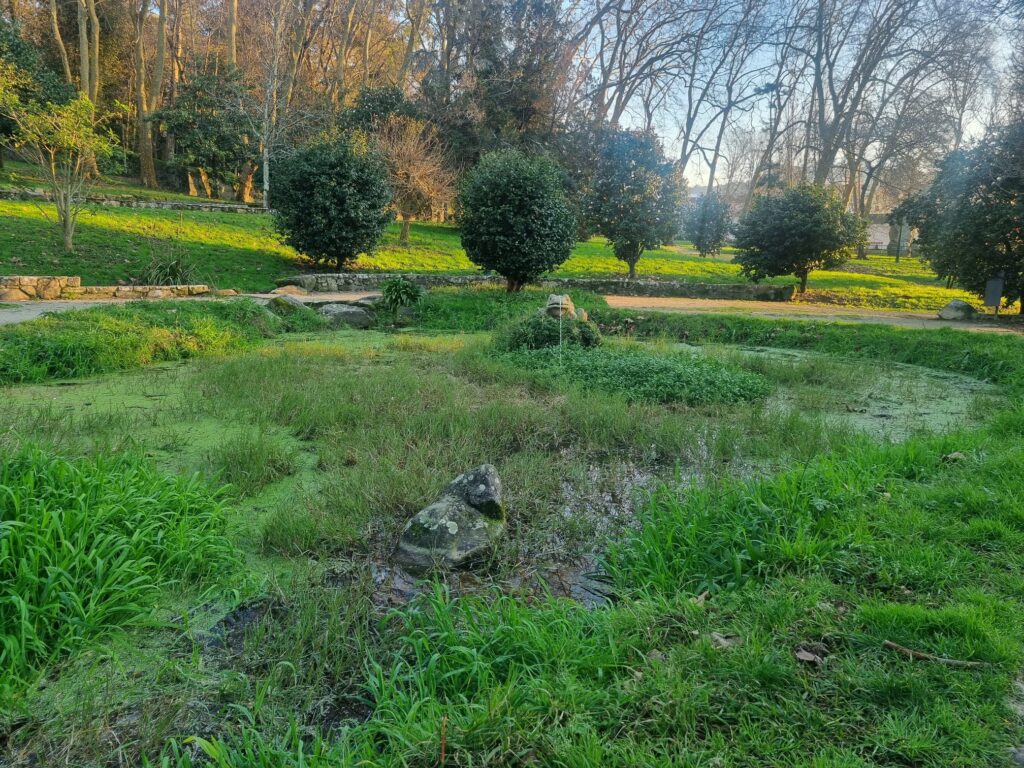 Estanque de las ranas, en Castrelos